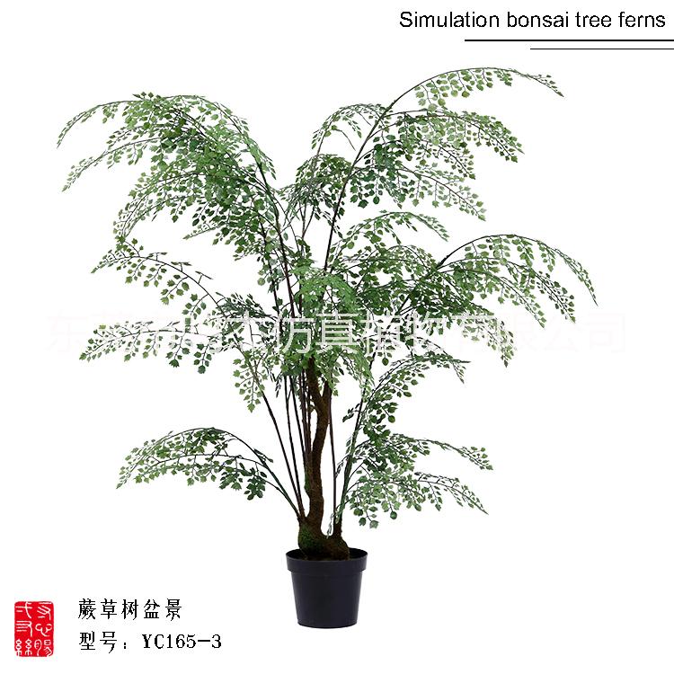 草盆景圖片/草盆景樣板圖 (1)