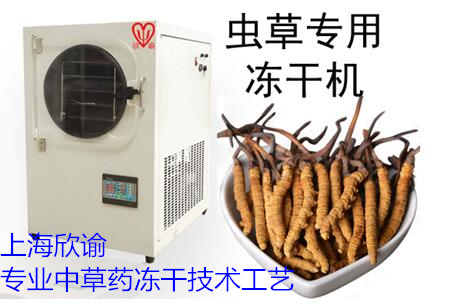 蟲草凍干機XY-FD-L4圖片/蟲草凍干機XY-FD-L4樣板圖 (1)