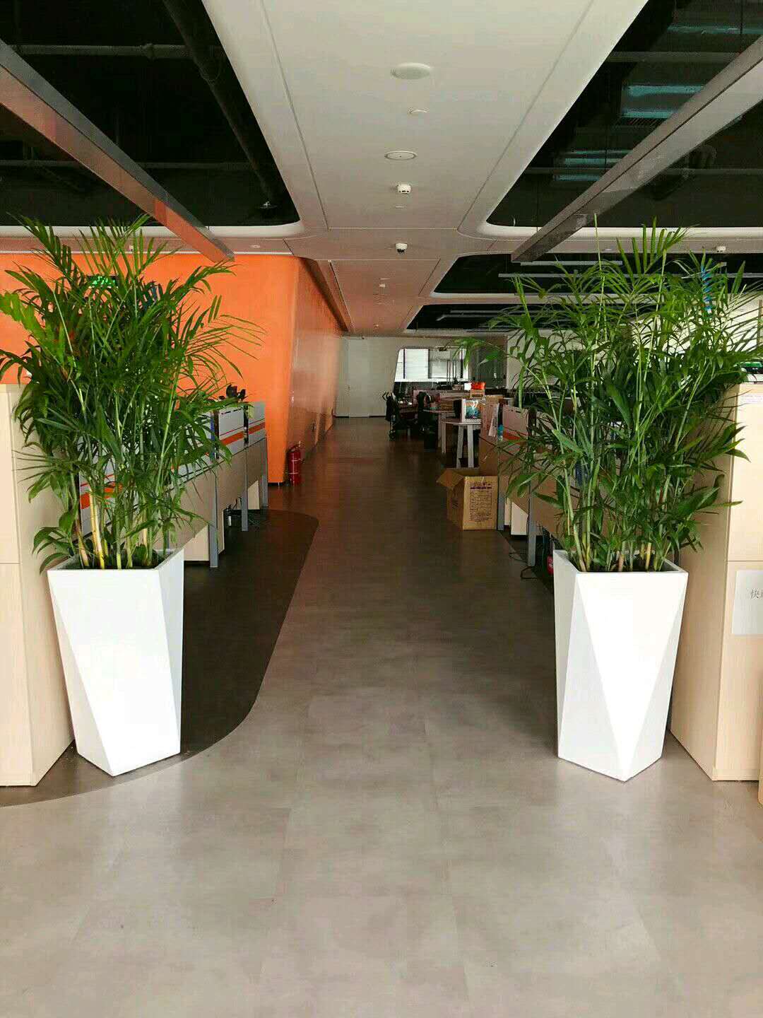 花草圖片/花草樣板圖 (4)