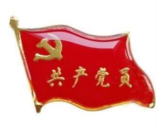 黨員胸章標(biāo)志圖片/黨員胸章標(biāo)志樣板圖 (2)