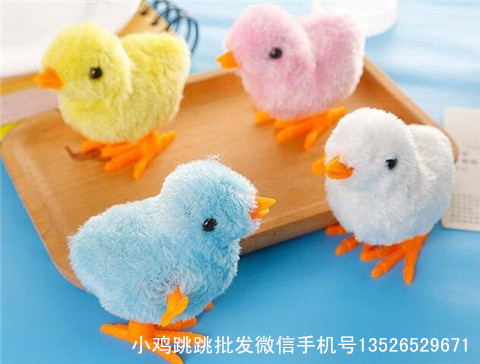 毛絨小雞圖片/毛絨小雞樣板圖 (2)