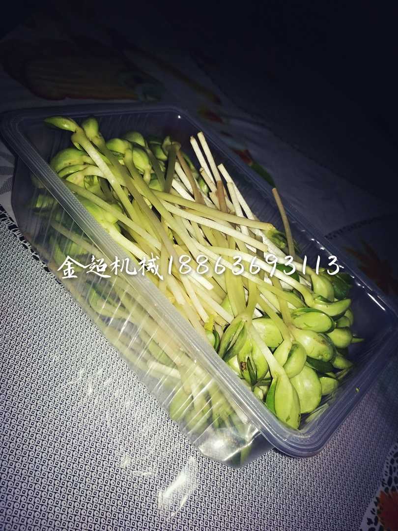 氣調(diào)包裝機(jī)圖片/氣調(diào)包裝機(jī)樣板圖 (4)