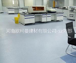 PVC地板圖片/PVC地板樣板圖 (4)