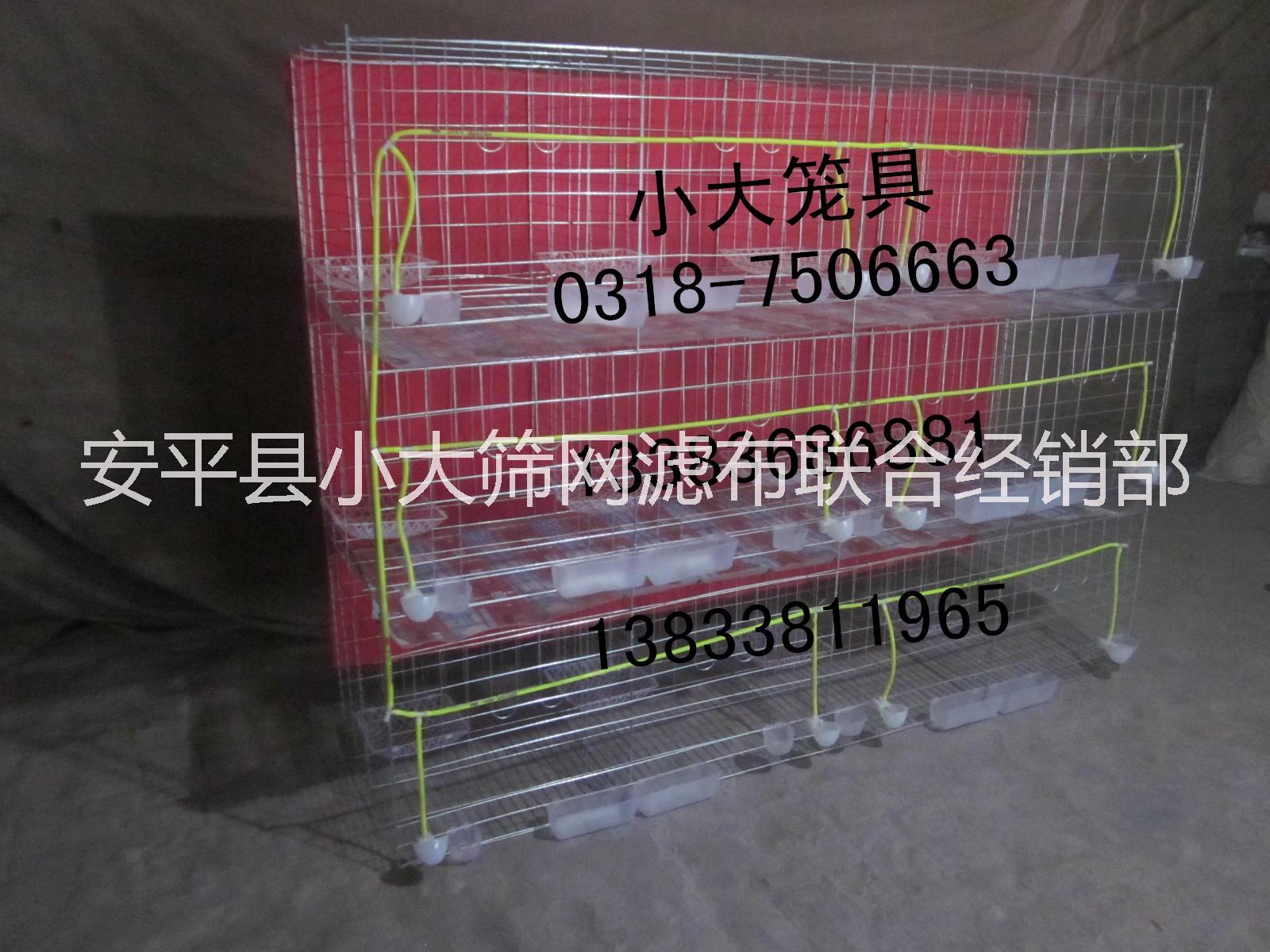 狐貍籠圖片/狐貍籠樣板圖 (2)