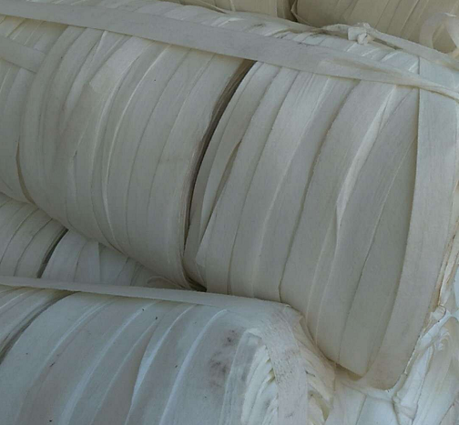 無紡布廠圖片/無紡布廠樣板圖 (2)