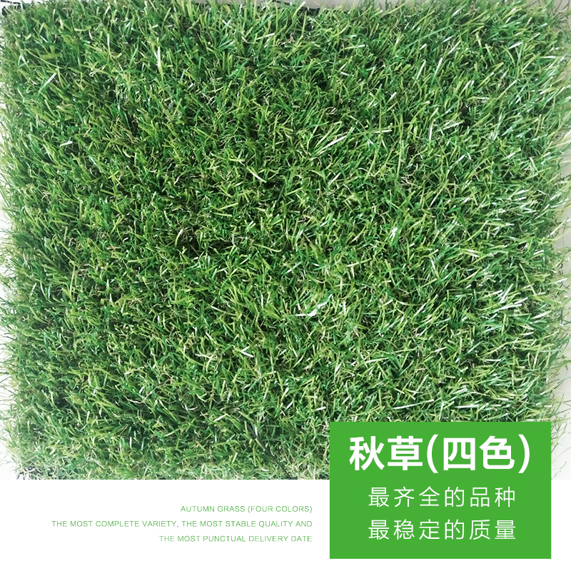 河北仿真草坪供應(yīng)商圖片