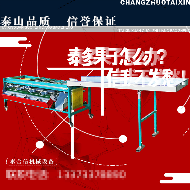 泰信牌青金桔山桔基础款分级机 分选机 果蔬分大分级精准效率高