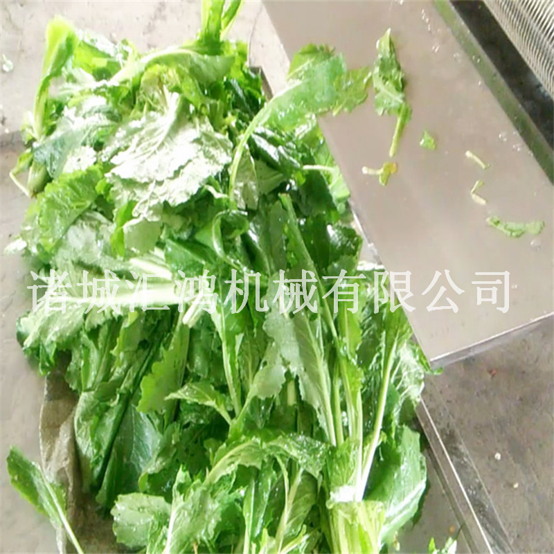 多功能蔬菜清洗机 自动连续洗菜机厂家 叶类清洗机价格 汇鸿洗果机图片