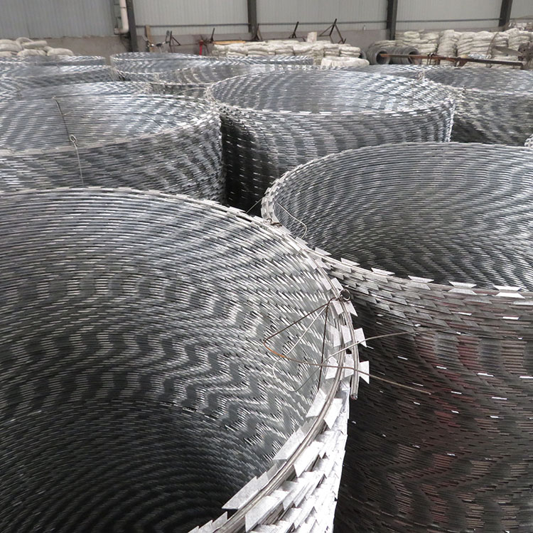 防恐防暴刀片刺網(wǎng)/直線型圖片