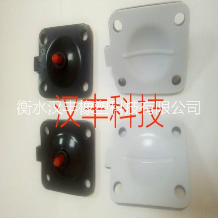 生產(chǎn)供應(yīng)橡膠復(fù)合膜片計量泵膜片
