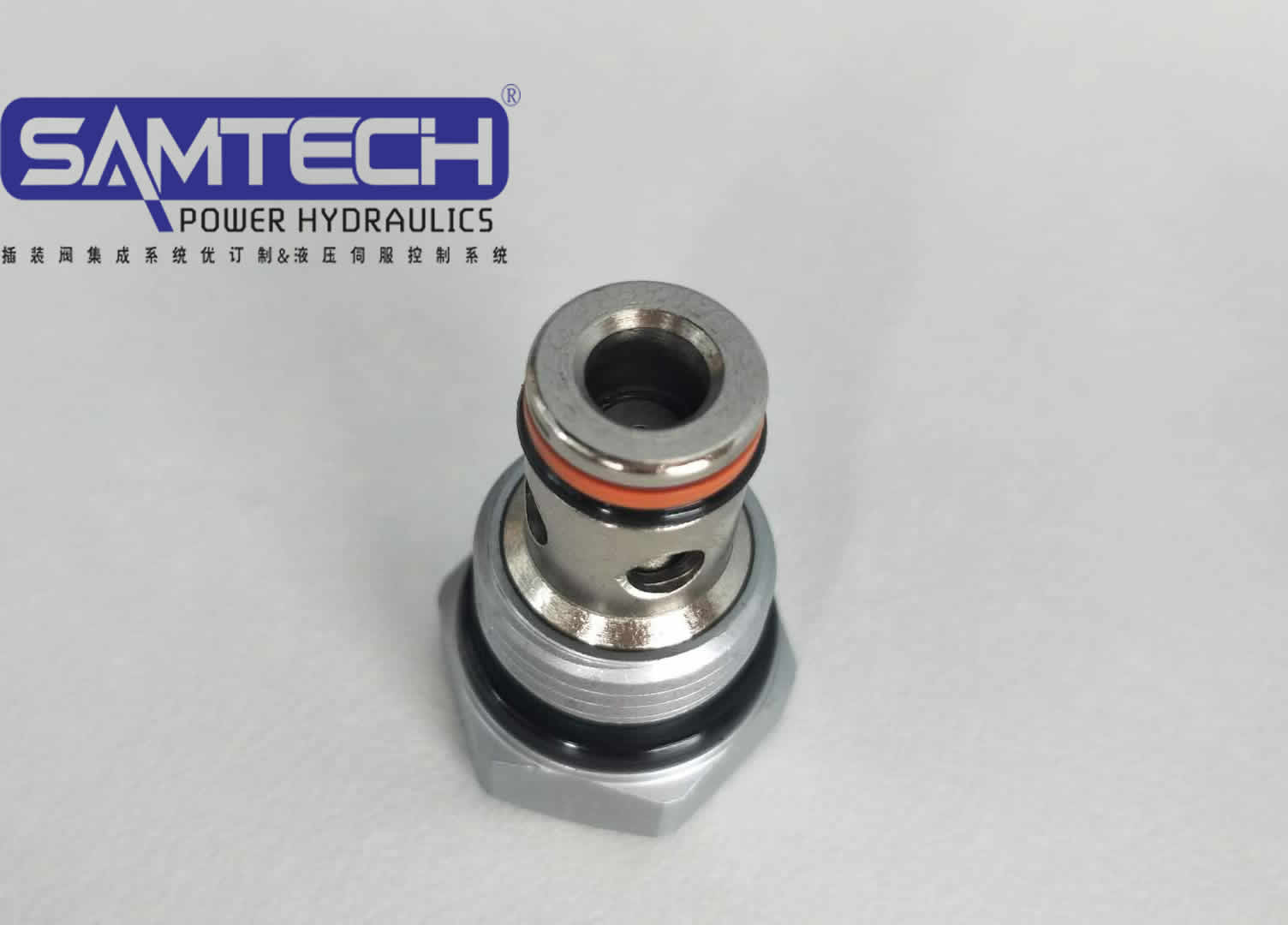 插裝式單向閥圖片/插裝式單向閥樣板圖 (3)