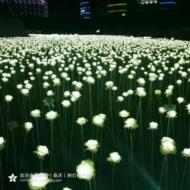 LED非標(biāo)燈圖片/LED非標(biāo)燈樣板圖 (2)