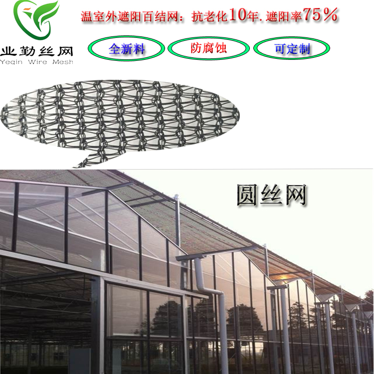 溫室大棚百結(jié)網(wǎng) 農(nóng)用圓絲網(wǎng)圖片/溫室大棚百結(jié)網(wǎng) 農(nóng)用圓絲網(wǎng)樣板圖 (1)