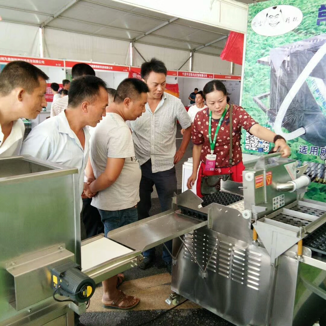 育苗圖片/育苗樣板圖 (2)