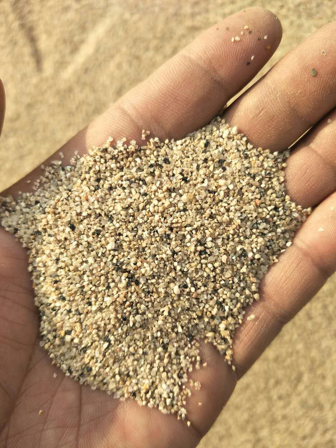 分目沙圖片/分目沙樣板圖 (3)