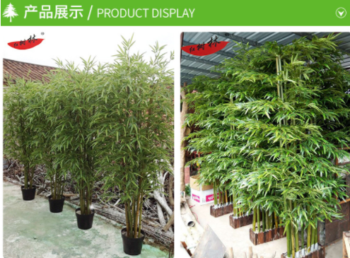 仿真竹子圖片/仿真竹子樣板圖 (2)