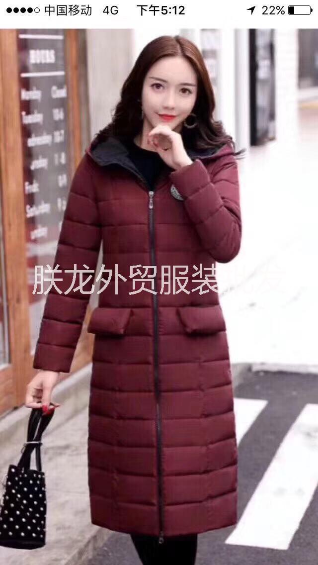 女裝羽絨服圖片/女裝羽絨服樣板圖 (2)