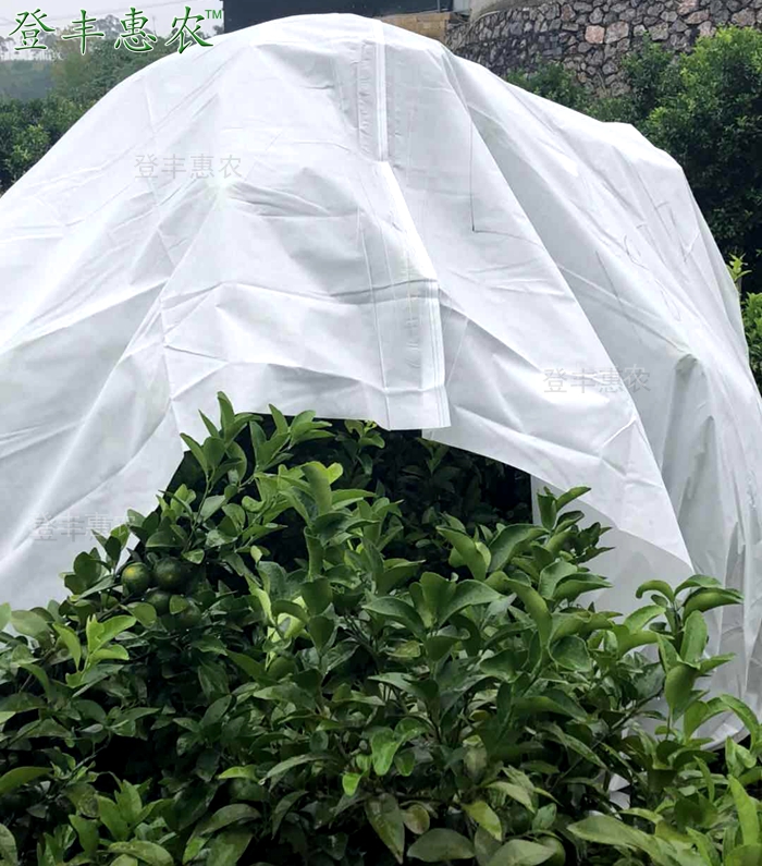 沃柑防寒布，柑桔防寒布廠家直銷圖片/沃柑防寒布，柑桔防寒布廠家直銷樣板圖 (4)