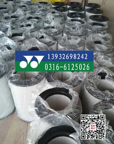 沃爾沃空氣濾芯21702911