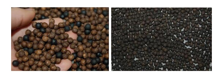 全自動中藥制丸機(jī)圖片/全自動中藥制丸機(jī)樣板圖 (3)