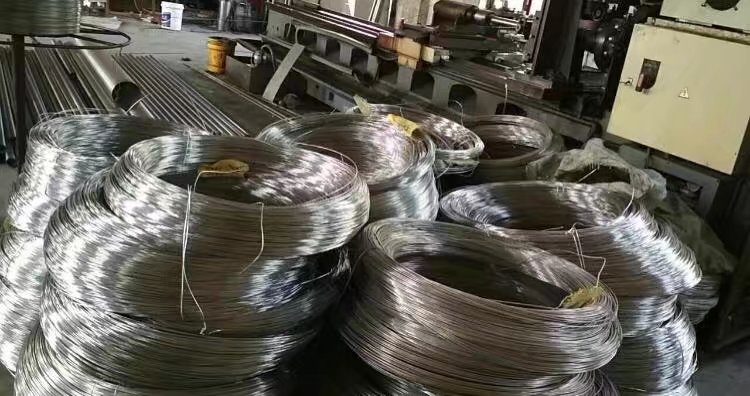 濾元圖片/濾元樣板圖 (3)