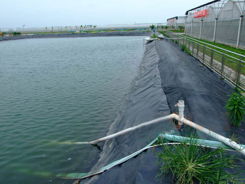 泰安市雨污分流防渗膜厂家沃特尔牌雨污分流防渗膜（土工膜）黑色HDPE防渗膜 黑绿双色防渗膜 欢迎订制