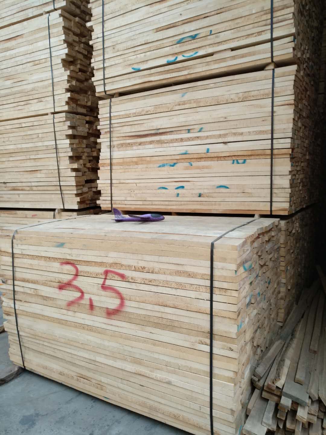 浙江歐洲樺木 歐洲樺木價格 歐洲樺木廠家 歐洲樺木商鋪 歐洲樺木批發(fā) 歐洲樺木報價 歐洲樺木供應(yīng)商圖片