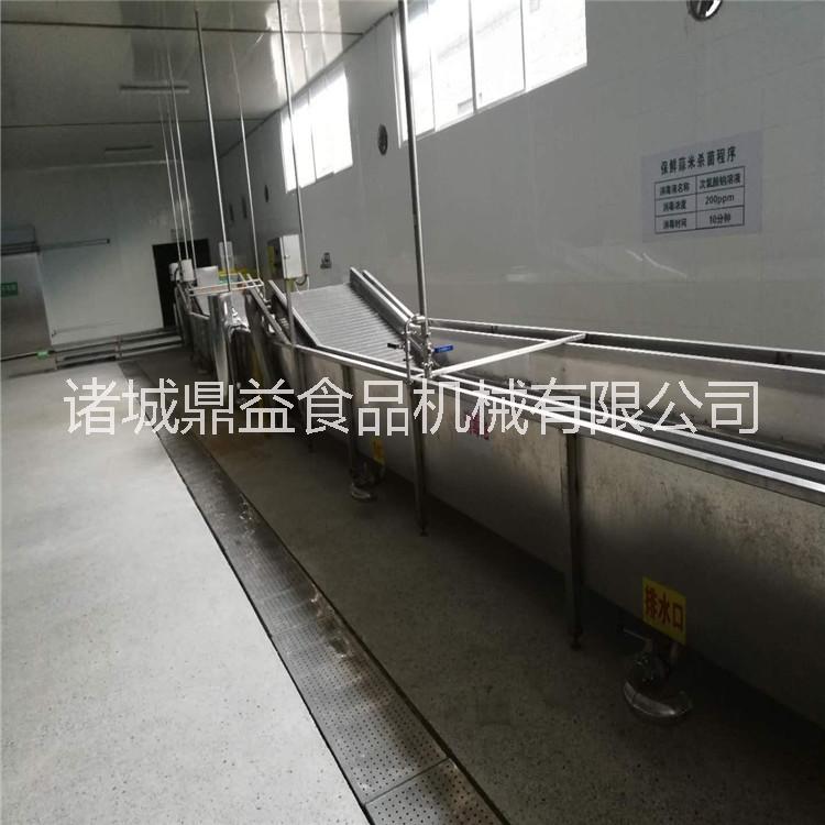 諸城鼎益專業(yè)生產(chǎn)大蒜清洗擦干機(jī) 通用蒜米擦干設(shè)備 大蒜清洗瀝水清洗線 蔬菜清洗風(fēng)干線