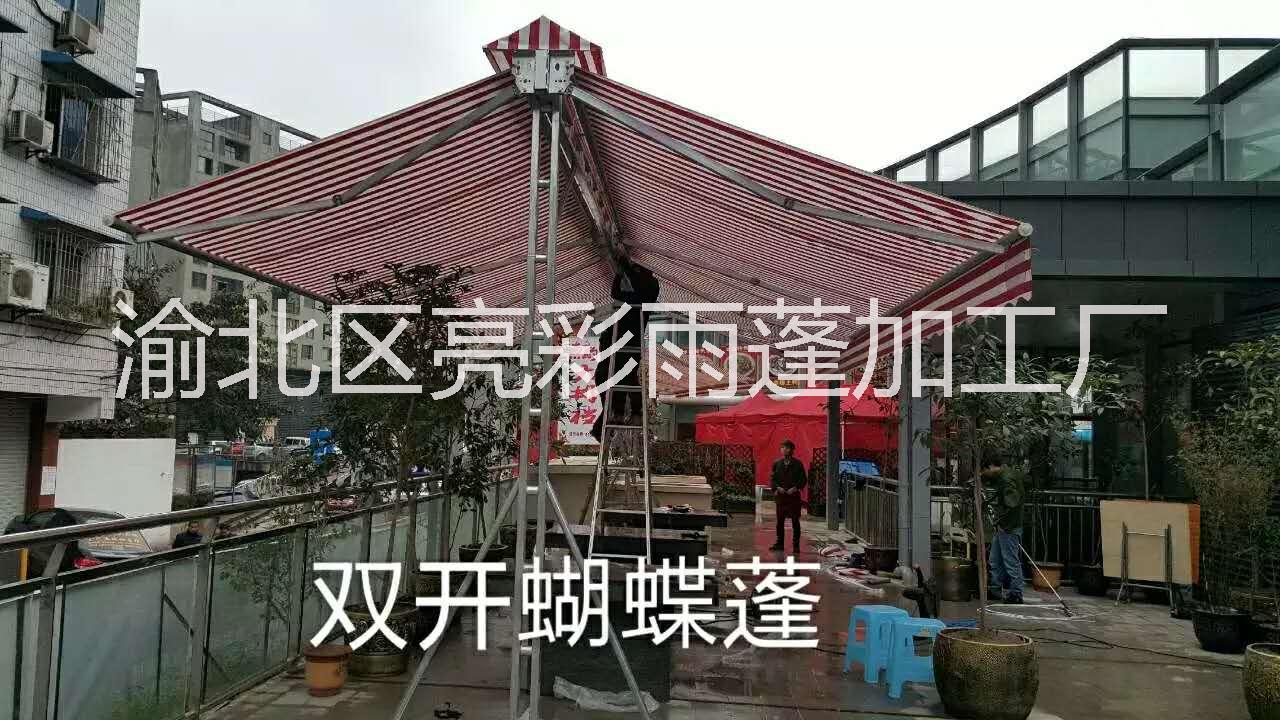 雙開蝴蝶蓬圖片/雙開蝴蝶蓬樣板圖 (3)