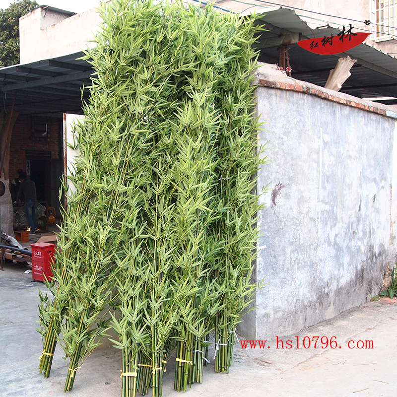 竹子圖片/竹子樣板圖 (3)