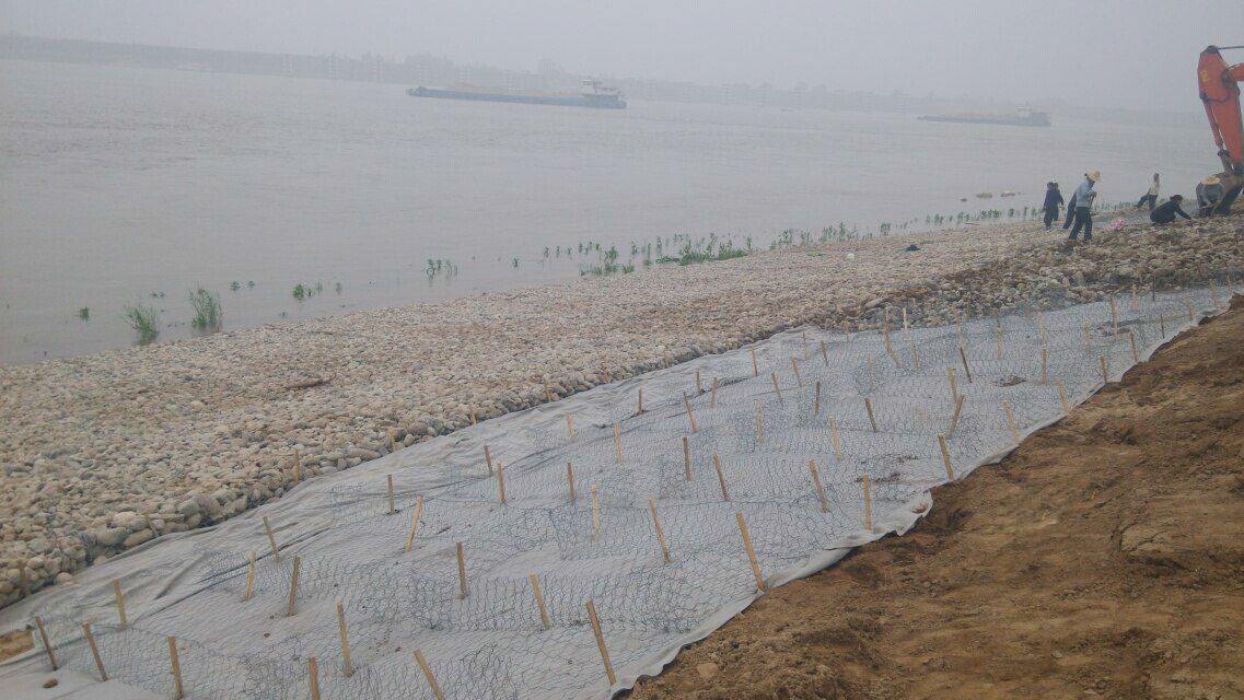 塞克格賓網(wǎng)圖片/塞克格賓網(wǎng)樣板圖 (3)