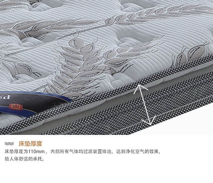 椰棕床墊圖片/椰棕床墊樣板圖 (4)