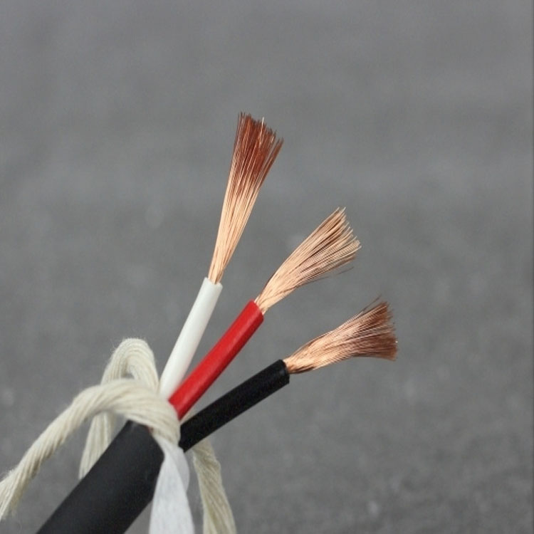 3芯拖鏈電纜圖片/3芯拖鏈電纜樣板圖 (2)