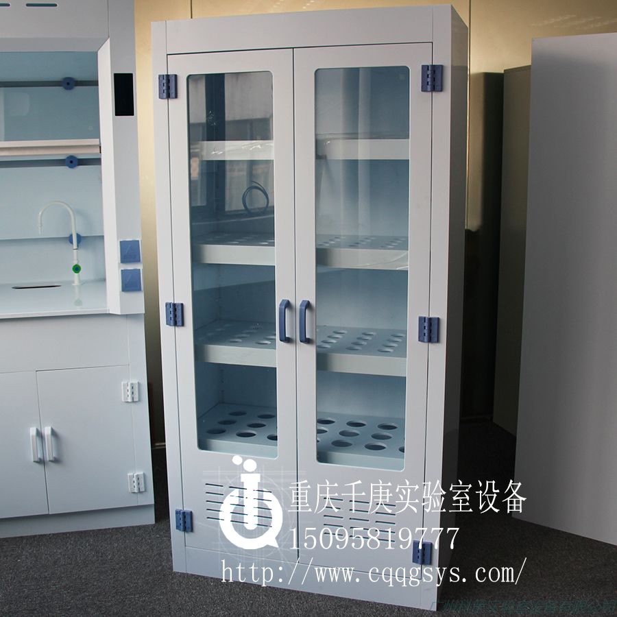 重慶千庚PP器皿柜 重慶廠家生產(chǎn)PP器皿柜/試劑柜