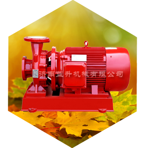 臥式消防泵-臥式單級消防泵-山東藍升泵業(yè)有限公司專業(yè)生產(chǎn)各類水泵