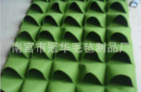 園藝植物圖片/園藝植物樣板圖 (2)