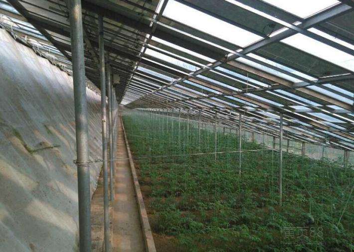 日光溫室圖片/日光溫室樣板圖 (2)