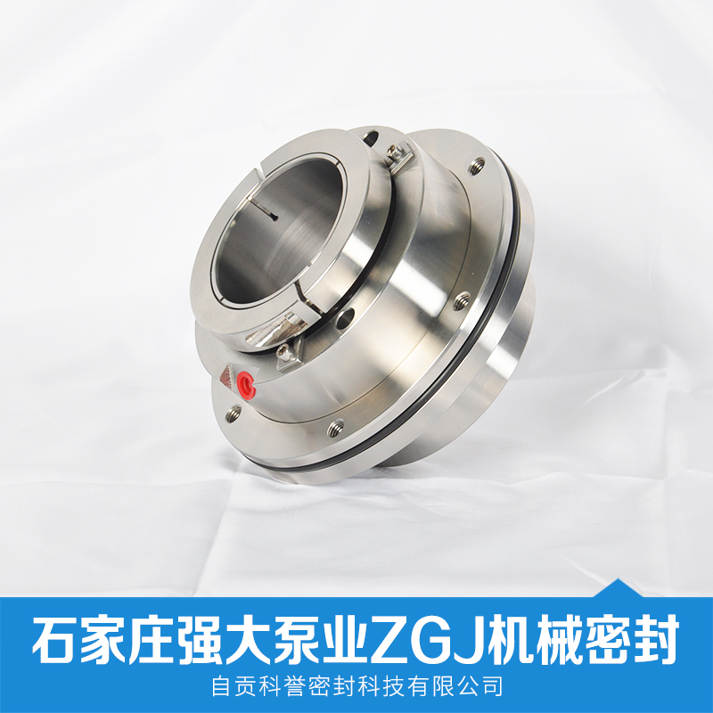 機械密封圖片/機械密封樣板圖 (2)