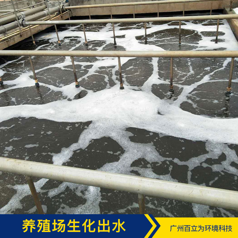 養(yǎng)殖場生化出水圖片/養(yǎng)殖場生化出水樣板圖 (4)