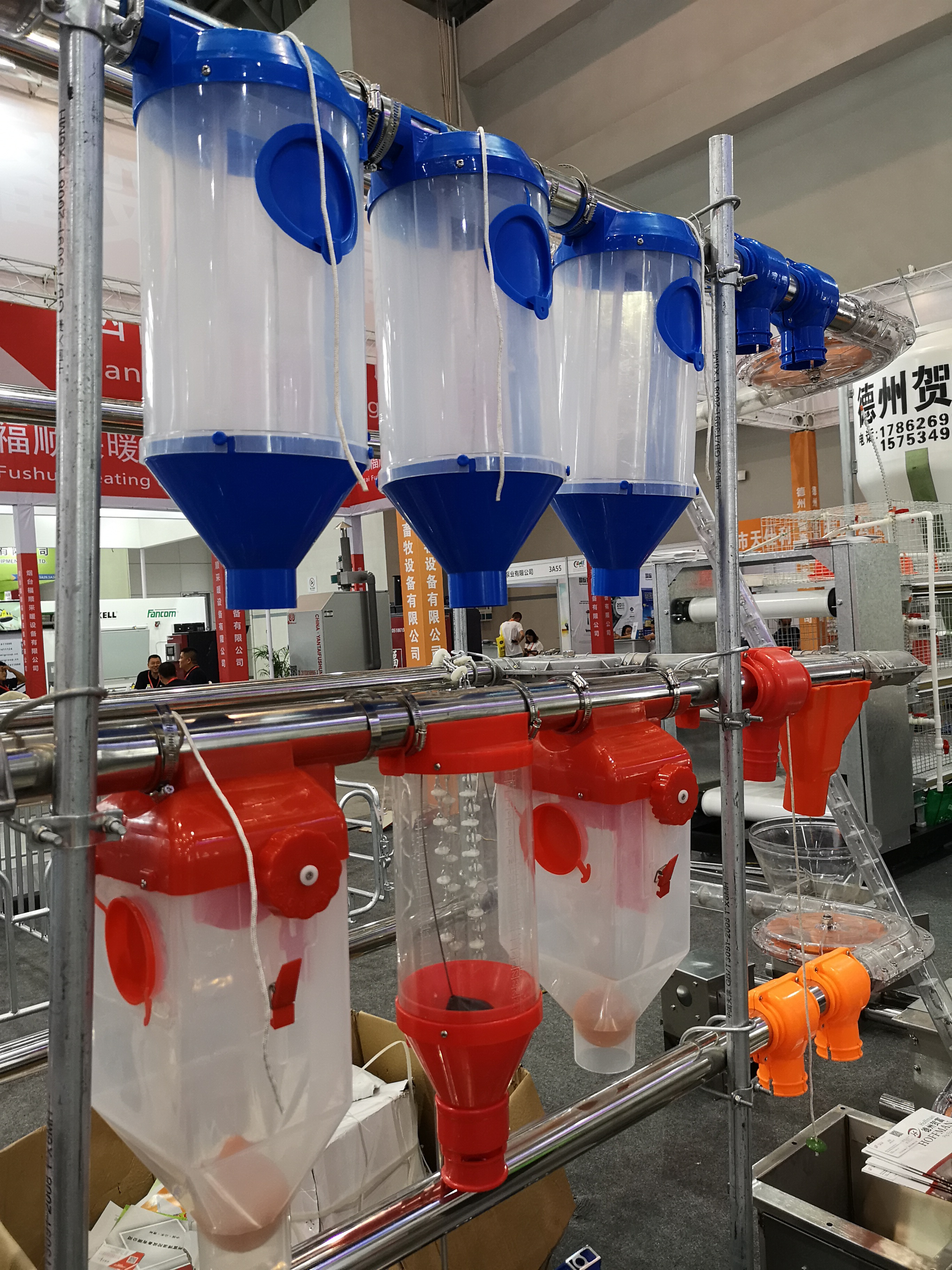 母豬定量杯圖片/母豬定量杯樣板圖 (2)