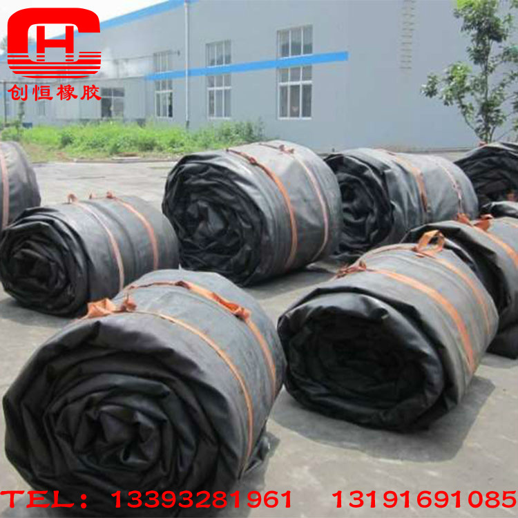 圓形橡膠充氣芯模圖片/圓形橡膠充氣芯模樣板圖 (4)