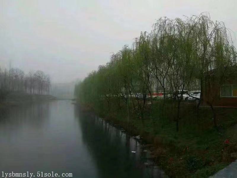 殯葬圖片/殯葬樣板圖 (3)