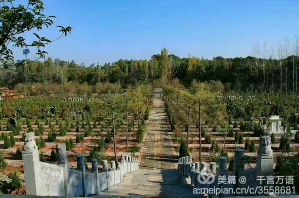 吉祥墓型福位圖片/吉祥墓型福位樣板圖 (4)