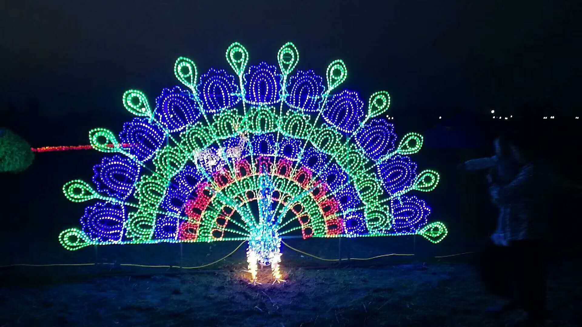 燈光展圖片/燈光展樣板圖 (2)