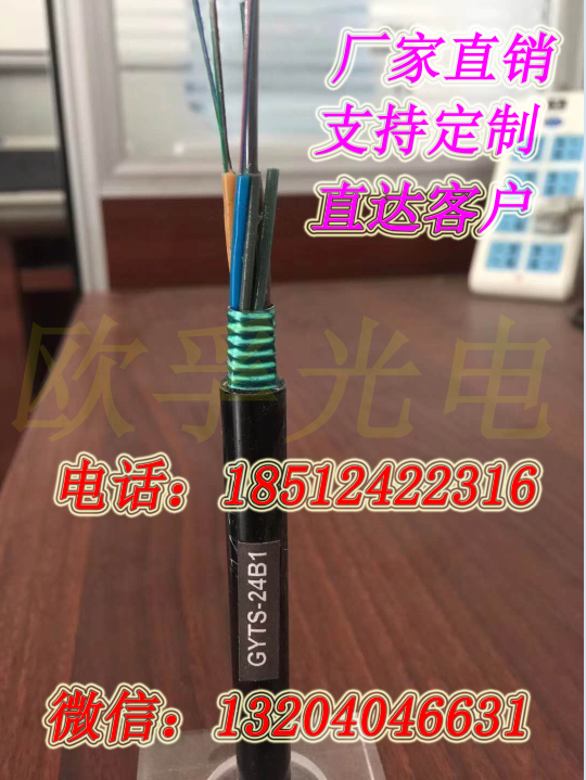 室外架空GYTS光纜圖片/室外架空GYTS光纜樣板圖 (2)