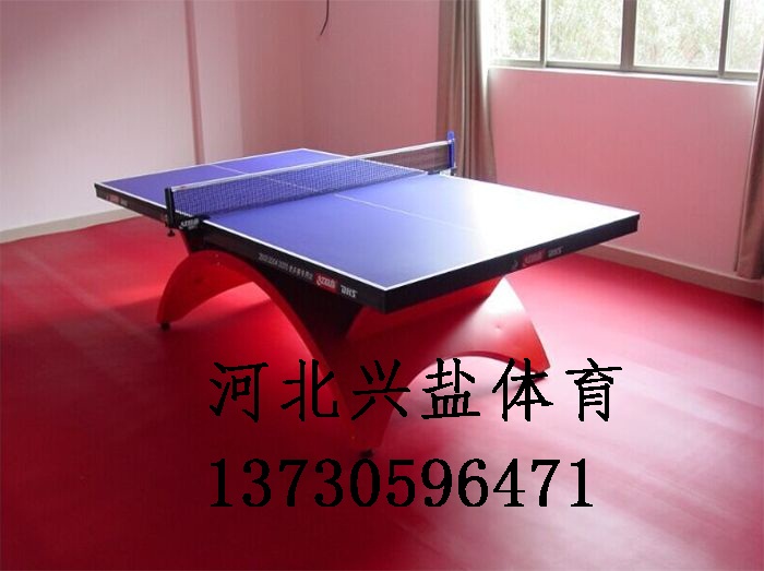 乒乓球臺圖片/乒乓球臺樣板圖 (3)