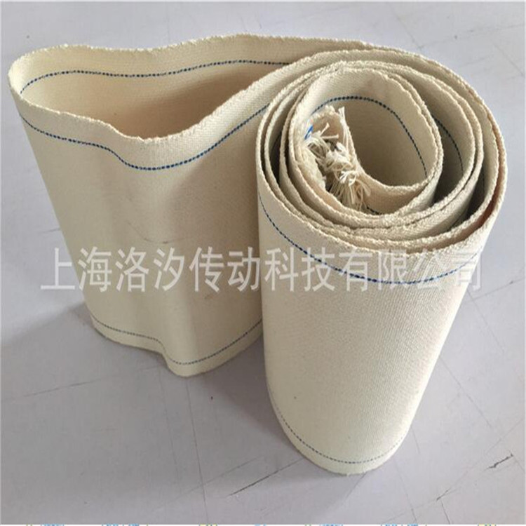 帆布輸送帶圖片/帆布輸送帶樣板圖 (2)