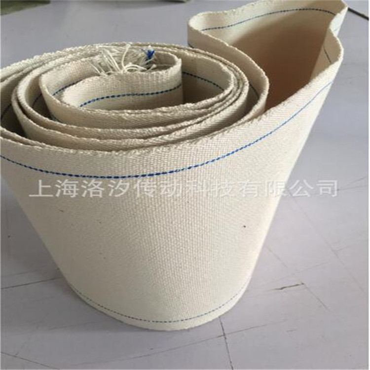 帆布輸送帶圖片/帆布輸送帶樣板圖 (4)