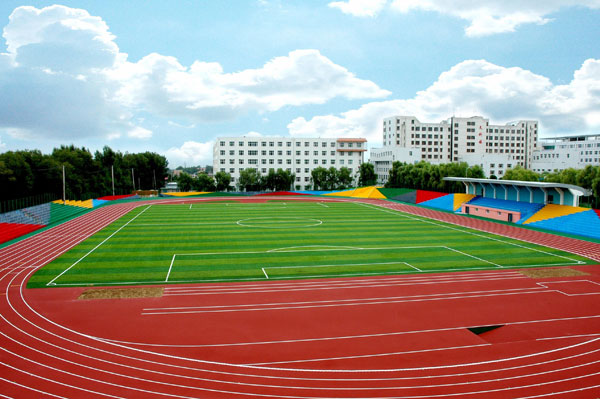 湖北哪家人造草坪做的好圖片/湖北哪家人造草坪做的好樣板圖 (3)