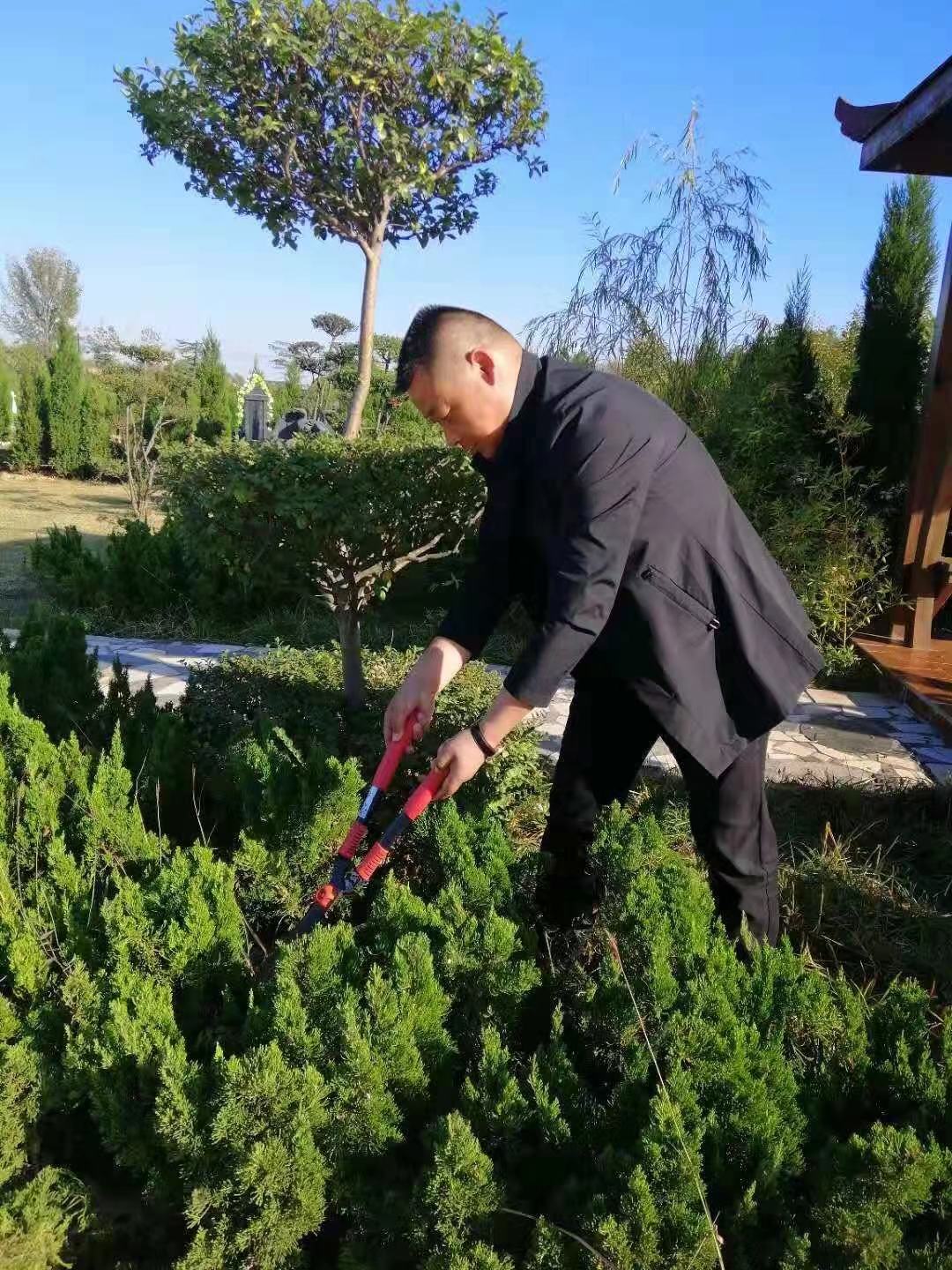 創(chuàng)行業(yè)繁榮北邙南山洛陽陵園